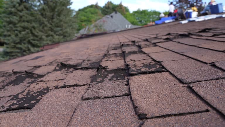 Trusted Cleveland, MS Roofing Services Experts